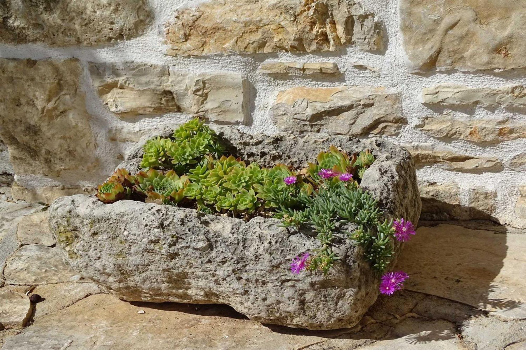 Bruska Dalmatian Country House Irena מראה חיצוני תמונה