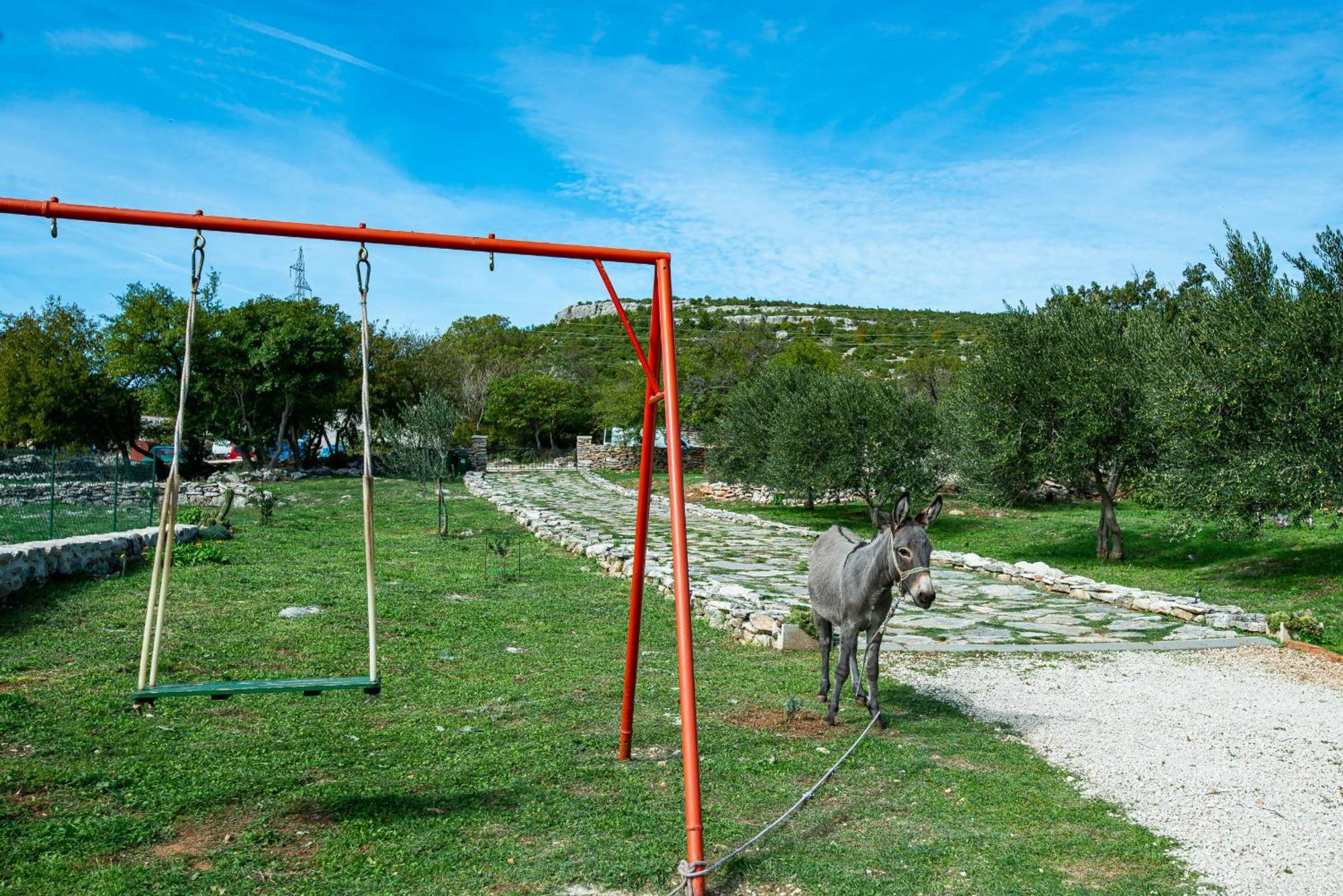 Bruska Dalmatian Country House Irena מראה חיצוני תמונה