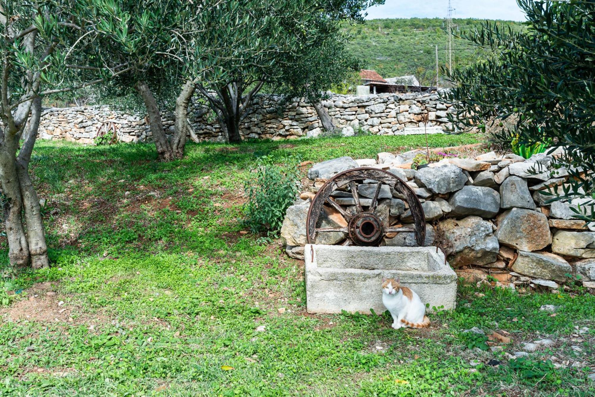 Bruska Dalmatian Country House Irena מראה חיצוני תמונה
